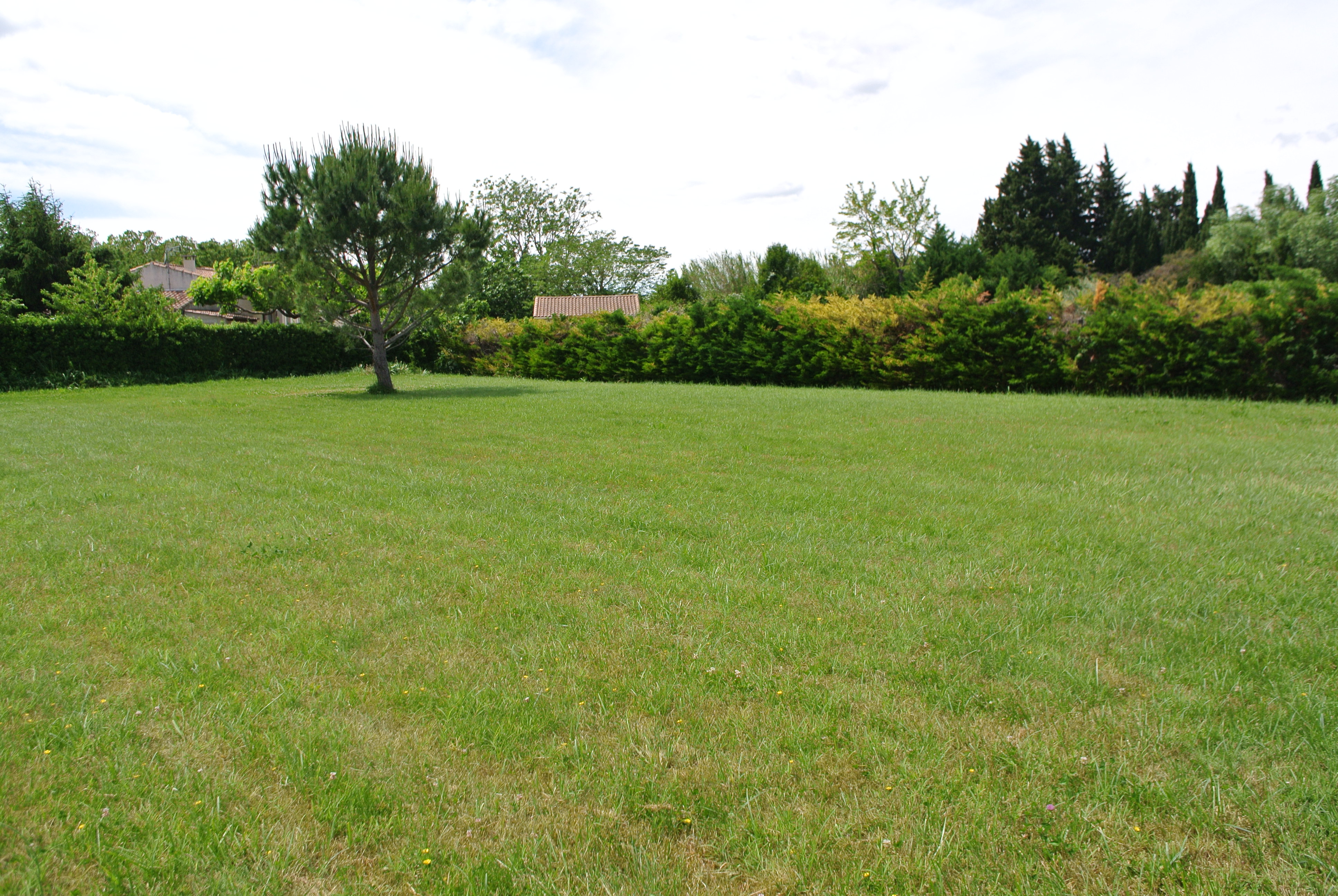 vente Terrain constructible 496 m2 à Saint-Rémy de Provence | RIIF